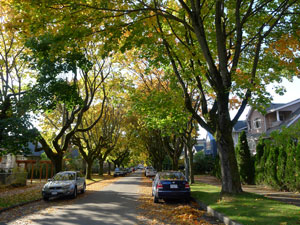 A nice fall day in Kits